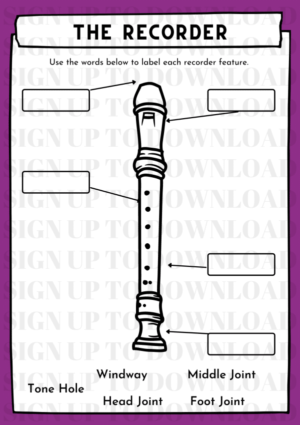 The Recorder Components - Worksheet