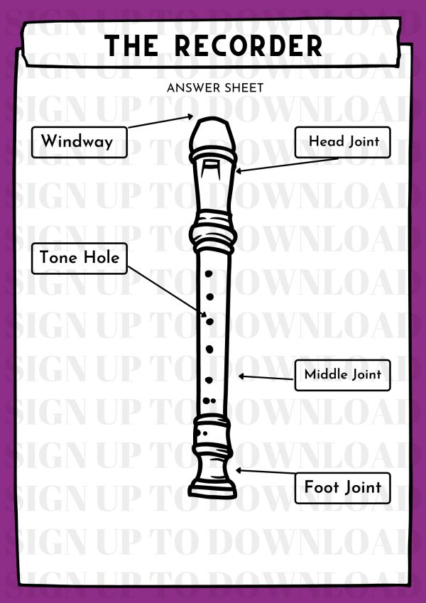 The Recorder Components - Worksheet