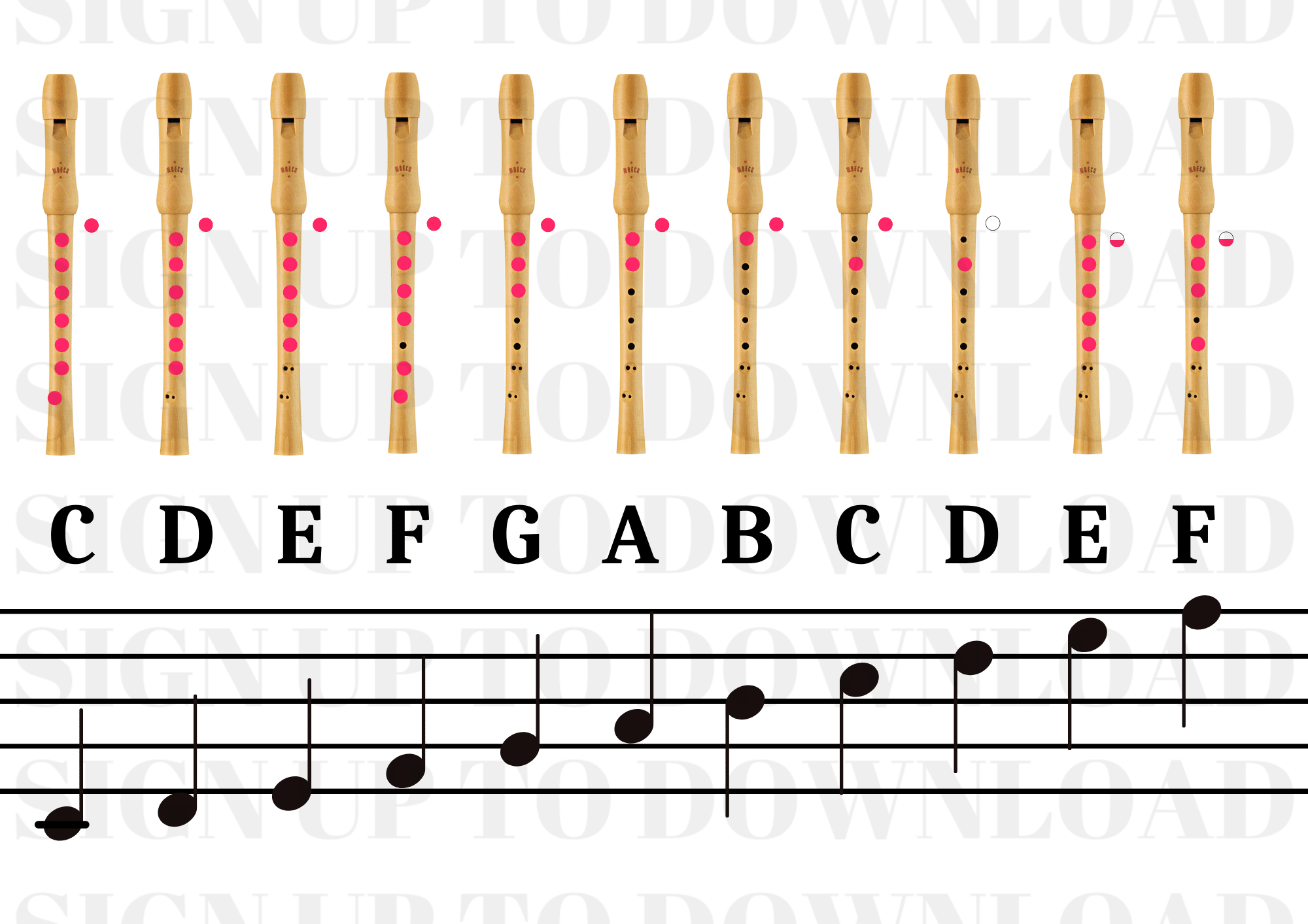 Printable Recorders Notes Chart