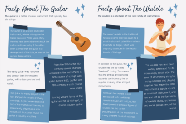 The Guitar - Display Facts Sheets