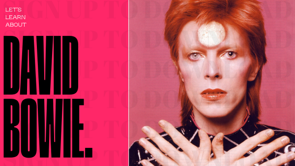 Let's Learn About David Bowie!